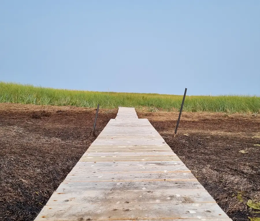 A wooden boardwalk leading through beach grass toward the dunes